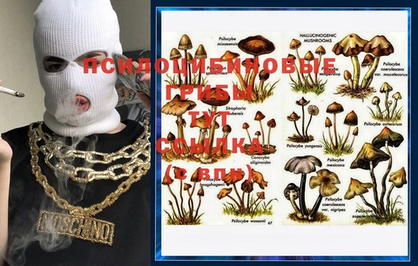 винт Сосновоборск