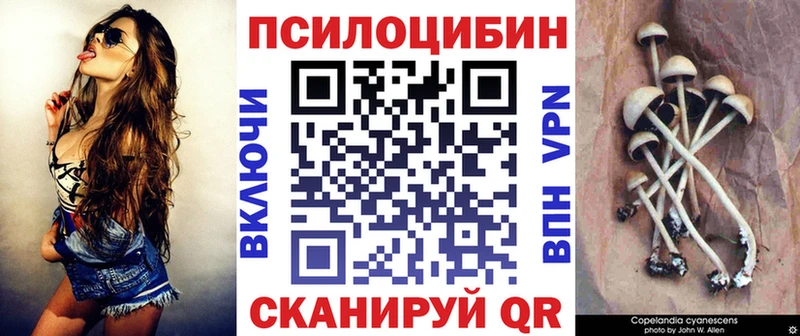 Галлюциногенные грибы Psilocybine cubensis  Купить где  Симферополь 